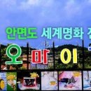 안면도갤러리 이미지