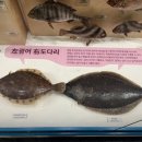 드림브루잉 이미지