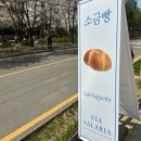 경의선 숲길 신상 카페 비아 살라리아 공덕, 소금빵 아이스크림 후기