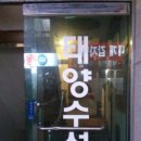 태양수선