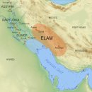 고대1100 이미지