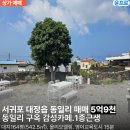 영어교육도시2교차로 2 | 영어교육도시 15분거리 1종근생. 감성카페 | 대정읍동일리.매매 5억대