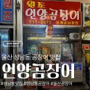 언양곰장어 | 울산 중구 성남동 언양곰장어 양념곰장어 맛집 추천_내돈내산