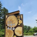아침고요치유의 숲 이미지