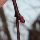 활터어린이공원 이미지