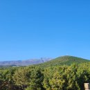 한라산을바라보는쉼터 이미지