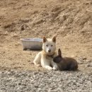 주문진펜션 청유 이미지