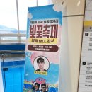 운남대교 게이트볼장 | 부산 대저생태공원 벚꽃 유채꽃 개화상황 낙동강 30리 벚꽃길 주차장 정보