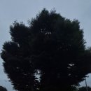 창의리 마을회관 이미지