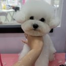 몽실묭실 이미지