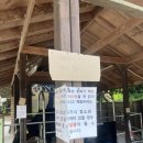 지도 왕벚나무길 이미지