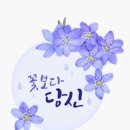 보라빛엽서 /누이 ~ 설운도 이미지