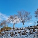 수입리민박 이미지