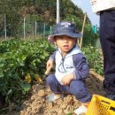 형준농장 이미지