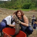 수통1리마을 이미지