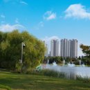 평택상가나라공인중개사사무소 이미지