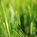 인천환경공단 청라사업소 이미지