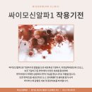 (주)싸이젠코리아 이미지