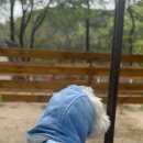 울타리천국 이미지
