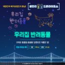 카카오드론 이미지