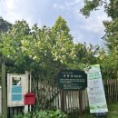 전남 담양 가 볼만한 곳 소쇄원 죽화경 쌍교숯불갈비 후기