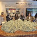 아시아관광여행사