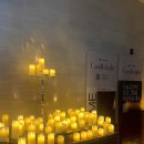 이끌림 호텔 | 23.11.17 캔들라이트 울산 머큐어 앰버서더 호텔 후기🕯/ 중구 태화동 이자까야 이끌림🍻