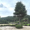 월곡초등학교삼계분교장 이미지