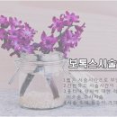 드림미성형외과의원 이미지