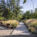 Harmony-ca 이미지