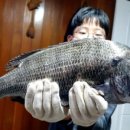 중화어촌계낚시터 이미지