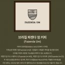 비야농장 | gsc 커피 생두 - "이렇게 작아?" 브라질 파젠다 엄 옐로우 버번 보인하스 다크룸 Fazenda UM Dark Room...