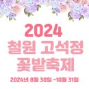 2024년 10월27일 철원 고석정 꽃밭 축제초대 이미지