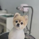 관저남로 네이버블로그