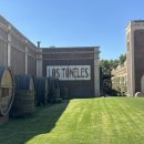 부에노스 펜션 | 멘도사 시티 Los Tolones 와이너리와 올리브 투어 후기