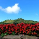 안경산책 이미지