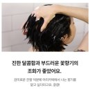 샨헤어 이미지