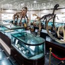 사립강원종합박물관 이미지