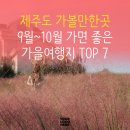 가시리 풀하우스 | 제주도 가볼만한곳 9월~10월 까지 가면좋은 가을여행 베스트7