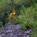 하얀울공원 이미지