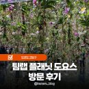 유리카모메2 | 도쿄 오다이바 가볼만한곳 팀랩 플래닛 도요스 전시 및 유리카모메 패스 꿀팁