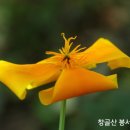바울서신에 나타난 초대교회의 예배