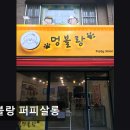 멍블랑 퍼피살롱 네이버블로그