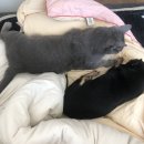 대충 근황