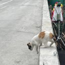 탐라자동차운전전문학원