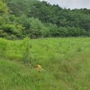 한평공인중개사사무소 이미지