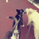 카페산책 이미지