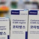 메디팜세종약국 이미지