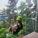 보현산댐 짚와이어 이미지