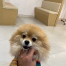 옥희미용실 이미지